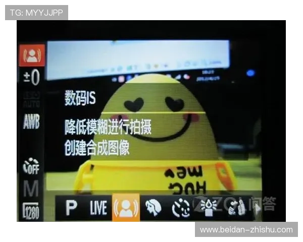 买波胆避坑指南 平台对比评测防骗防封